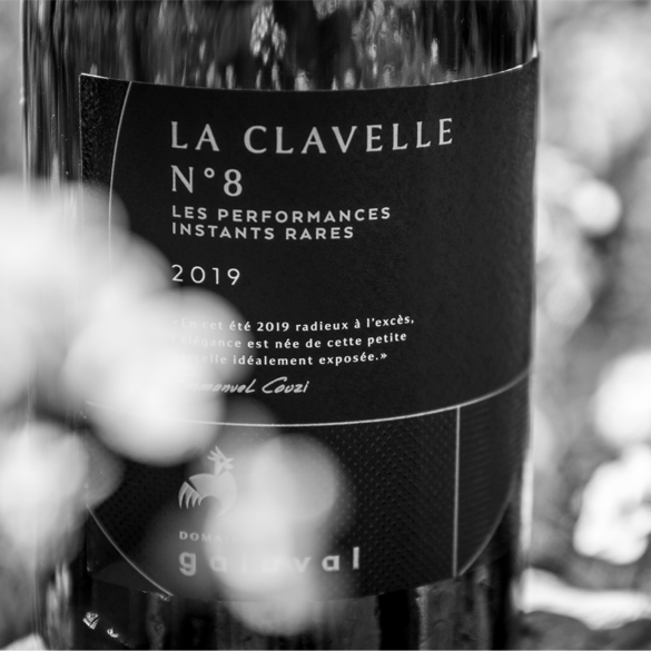CLAVELLE 585 x 585